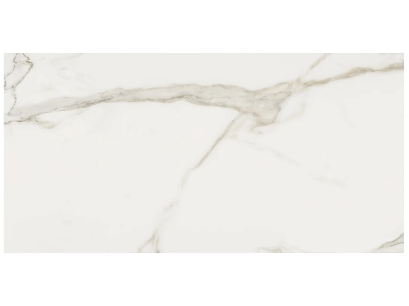 Porcelain Tiles Mayfair Calacatta Oro Polished 24" x 48"