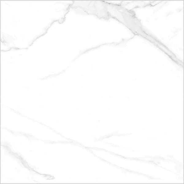 Floor Tiles Naos Blanco Matte 24" x 24"