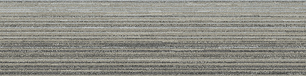 Carpet Planks City Walk Color #995 10" x 40"