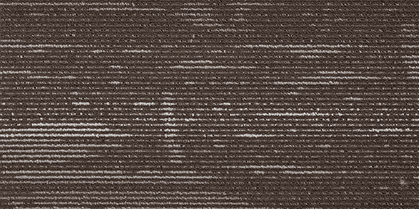 Carpet Planks New Delhi Color #878 20" x 40"