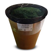 Sweeping Powder - 300 lb