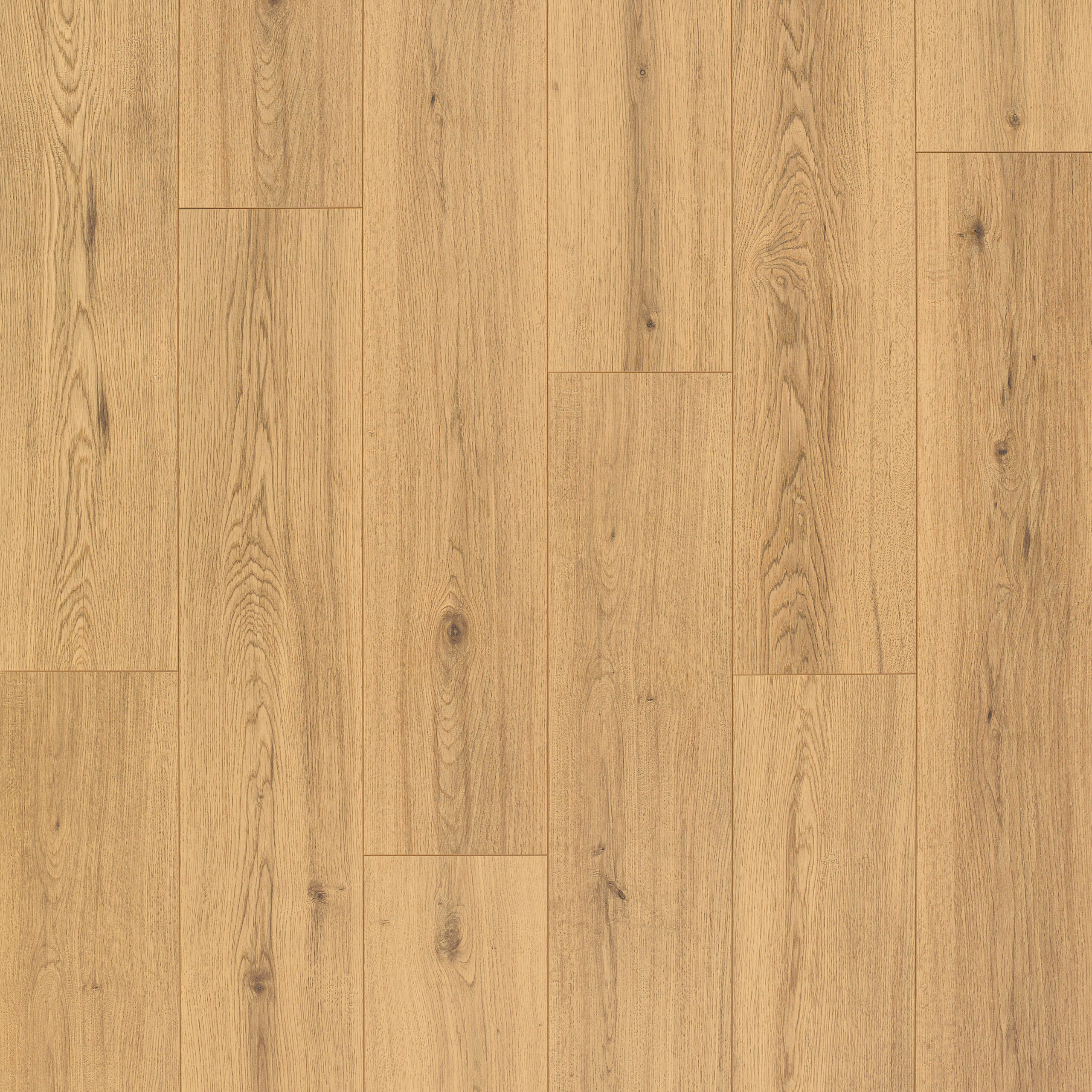 Laminate Flooring Artureon Norma Oak Realp 7-5/8" x 54-5/16"