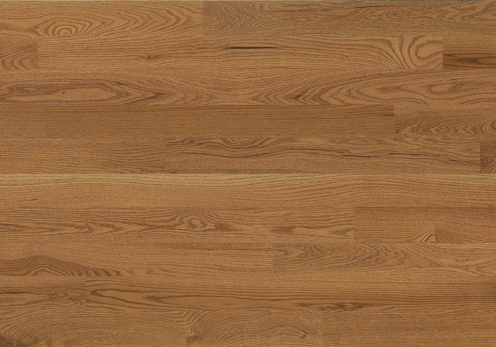 Hardwood Essential Crême Brulée Red Oak Semi-Gloss 3¼" - ¾"