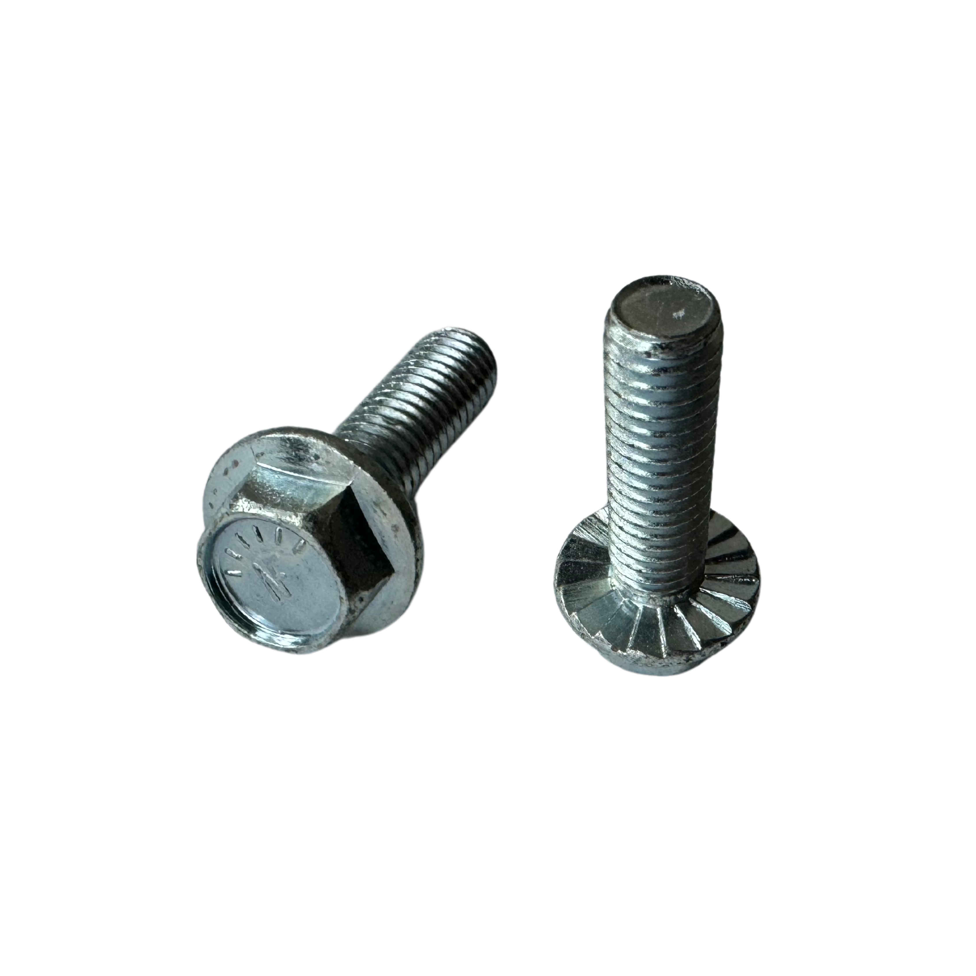 Replacement Screws with Hexagonal Cap for PHX21 Floor Grinder (Pack of 2)