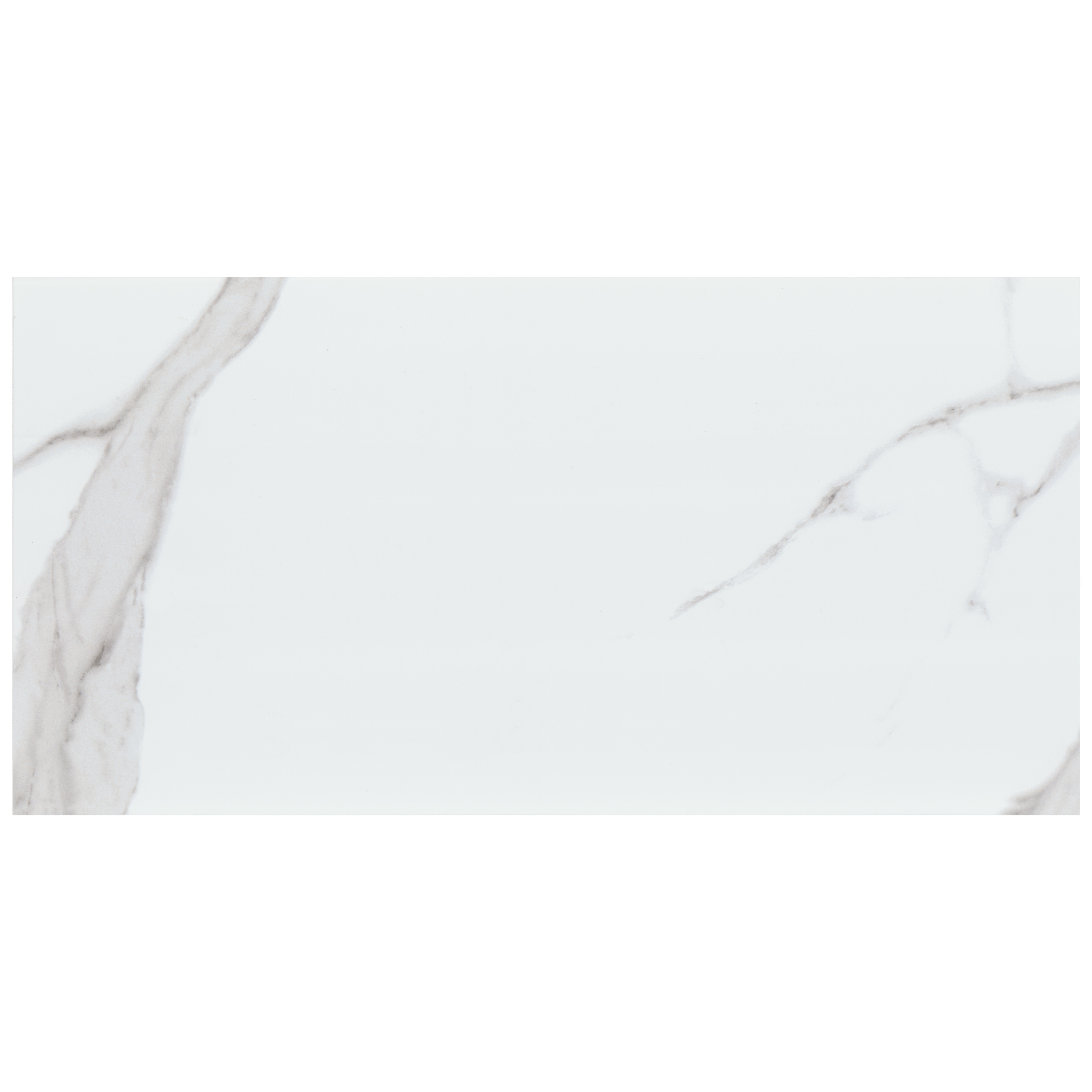 Tuiles murales Dymo Statuary Blanc-Froid Lustré 12" x 24"